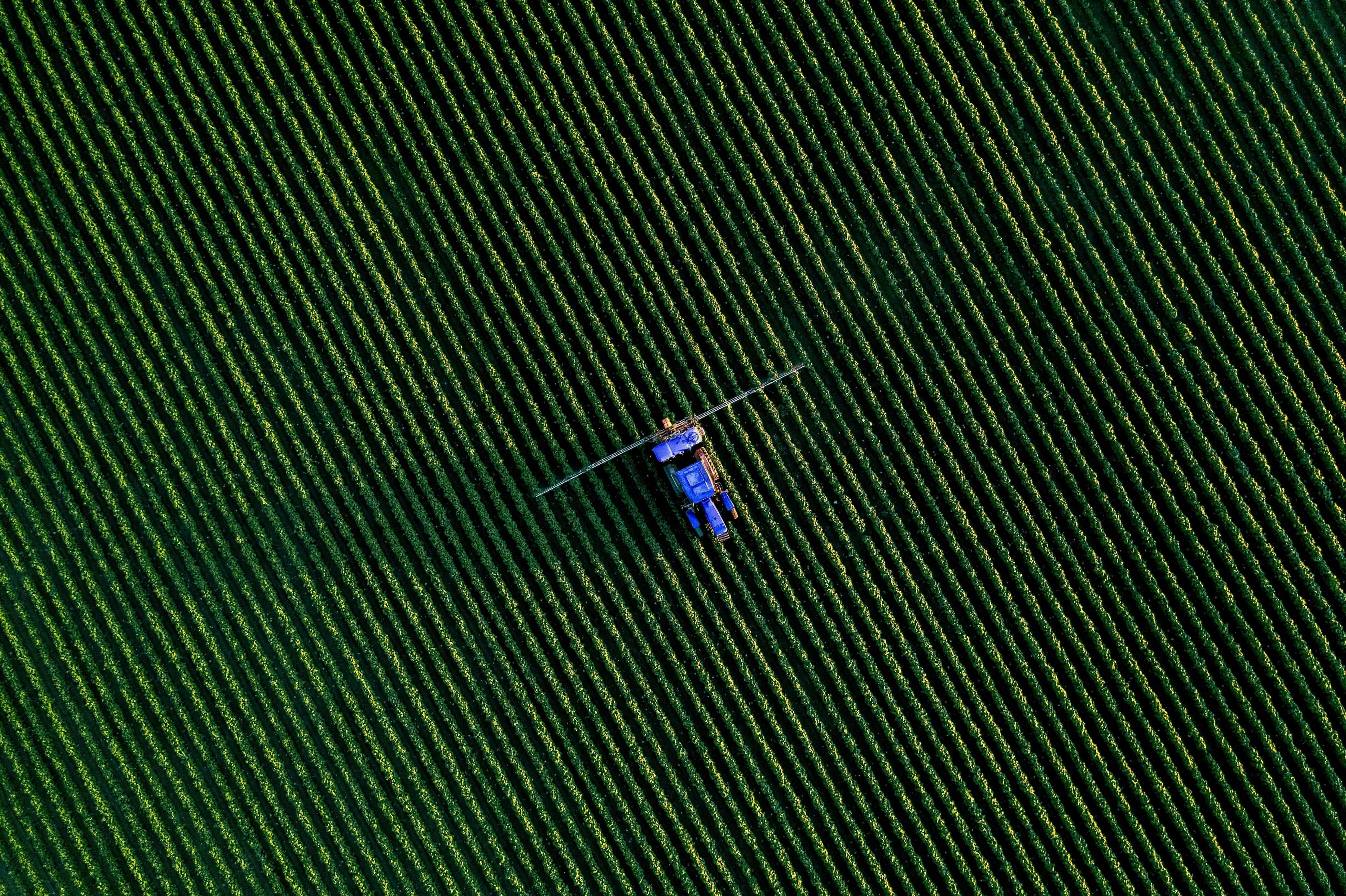 Campo agrícola con tractores