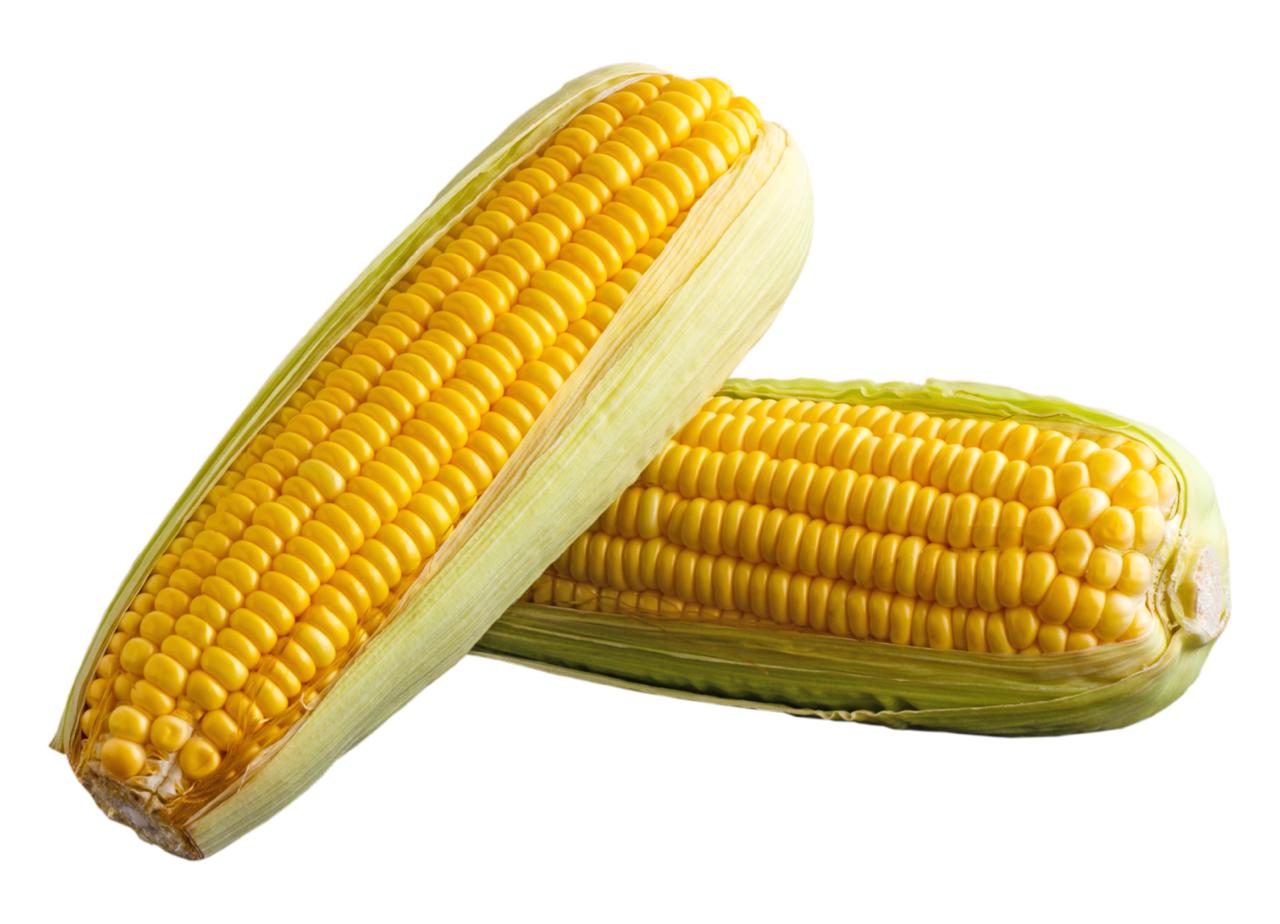 Maíz